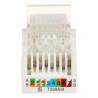 KONEKTOR KEYSTONE FX-RJ45-52