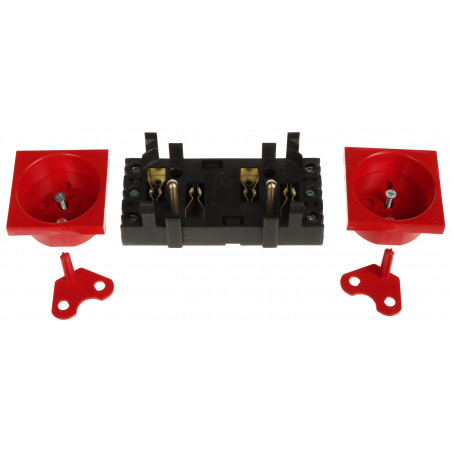 DATA DOUBLE SOCKET OUTLET WITH SOCKET ACCESS ELEMENT GN-DATA-2P/LS System 45